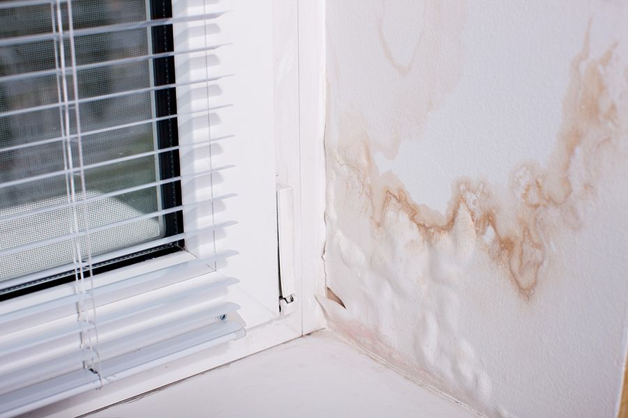 Black Mold fungus grows in the Living Room near the Window, the Walls and Ceiling are covered with Mold. Poorly installed Windows, rainwater penetrates into the Room