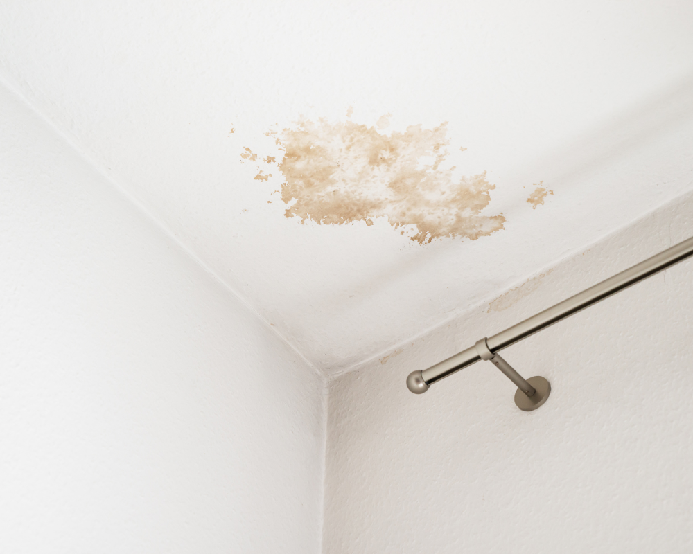 mould